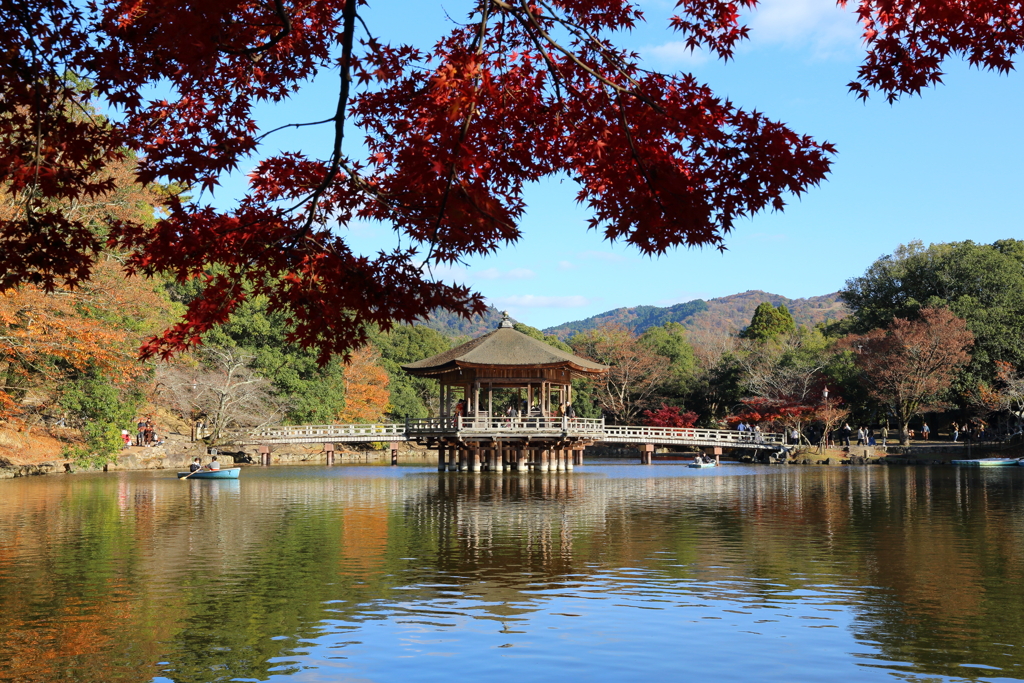 11月30日 奈良 ６