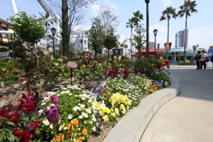 USJ風景 5 USJ風景 5