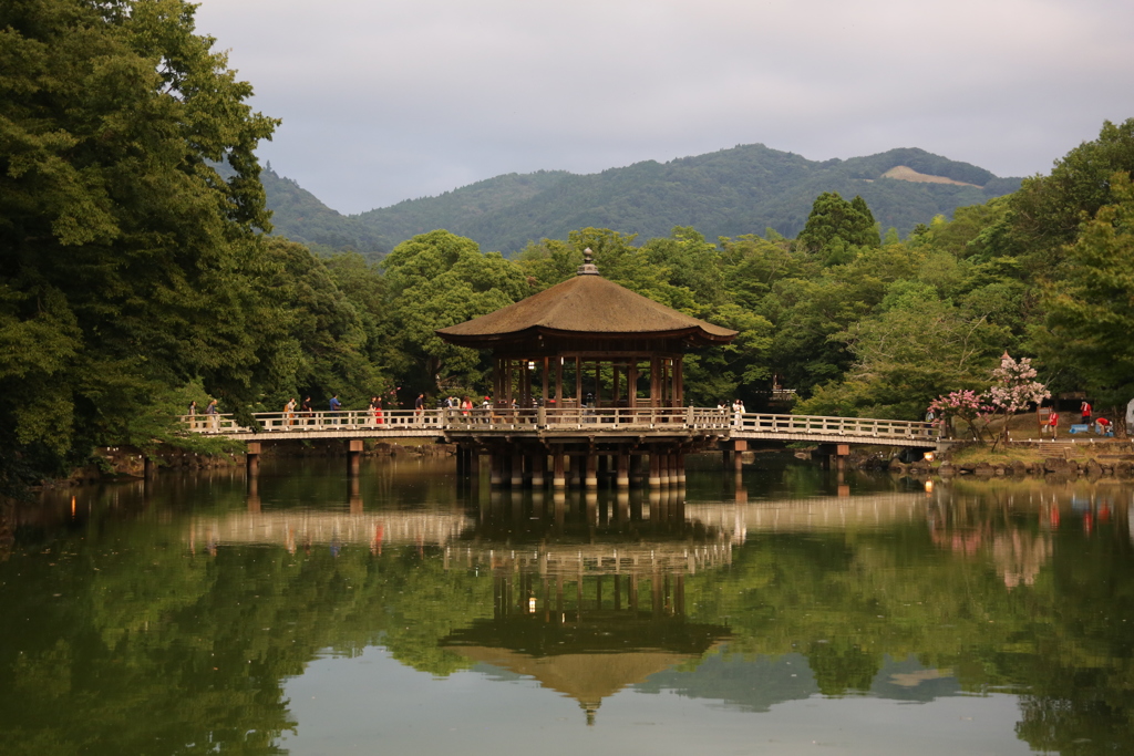 8月5日 なら燈花会 １