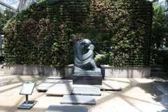 5月28日 布引ハーブ園 49