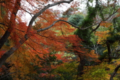 12月7日 布引の滝 17
