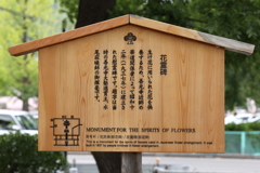 8月12日 善光寺 25