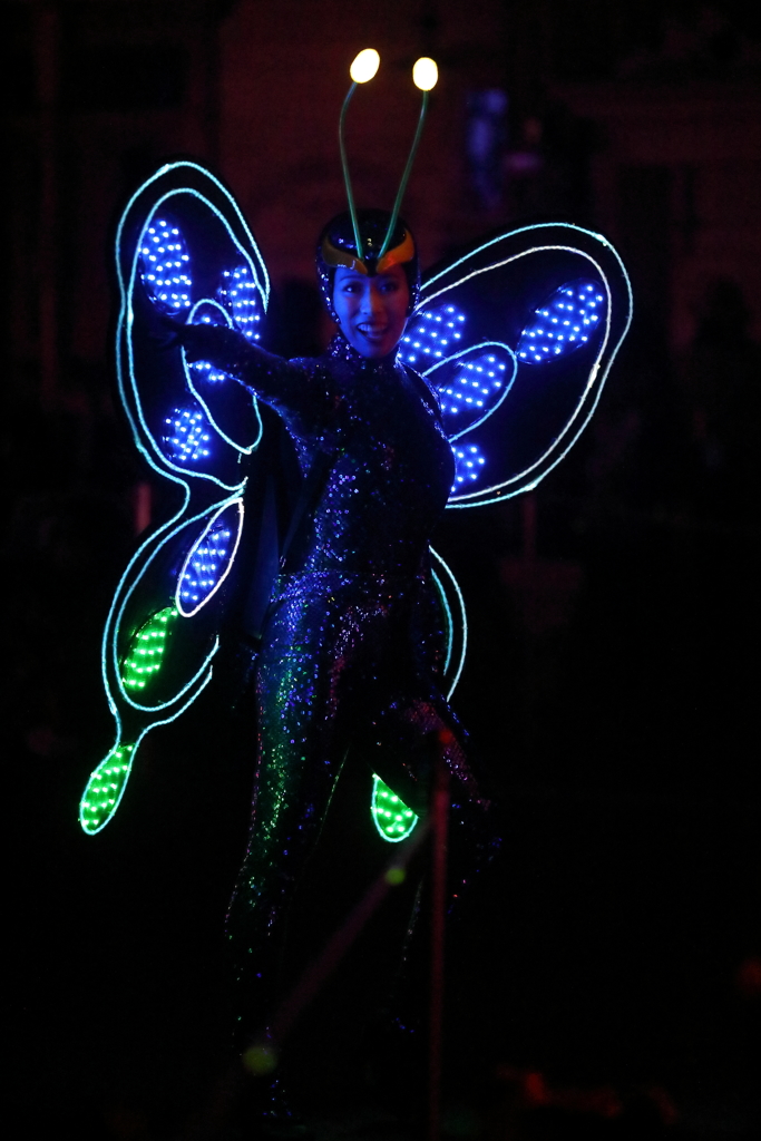 11月22日 東京ディズニーランド 78