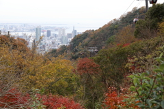12月7日 布引ハーブ園 30