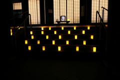 8月8日 なら燈花会 24