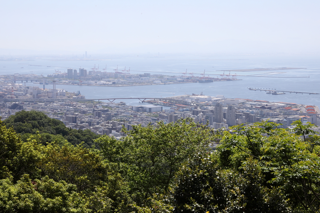 5月5日 布引ハーブ園 12