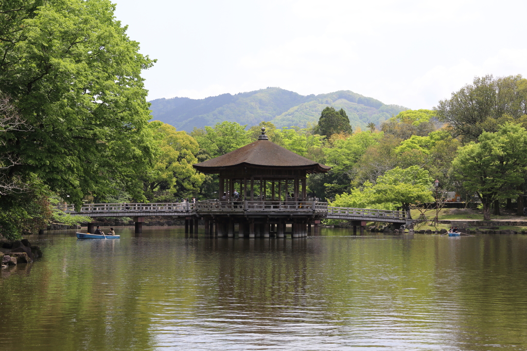 5月2日 奈良 10