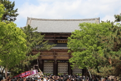 5月2日 奈良 38