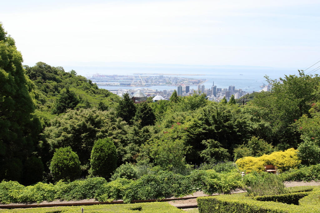 6月9日 布引ハーブ園 １