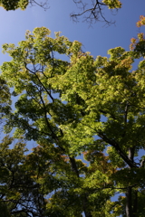 5月23日 相楽園 18