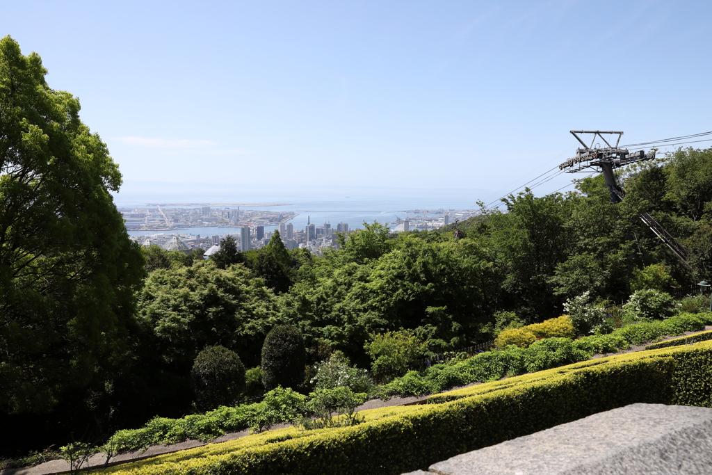 5月5日 布引ハーブ園 １