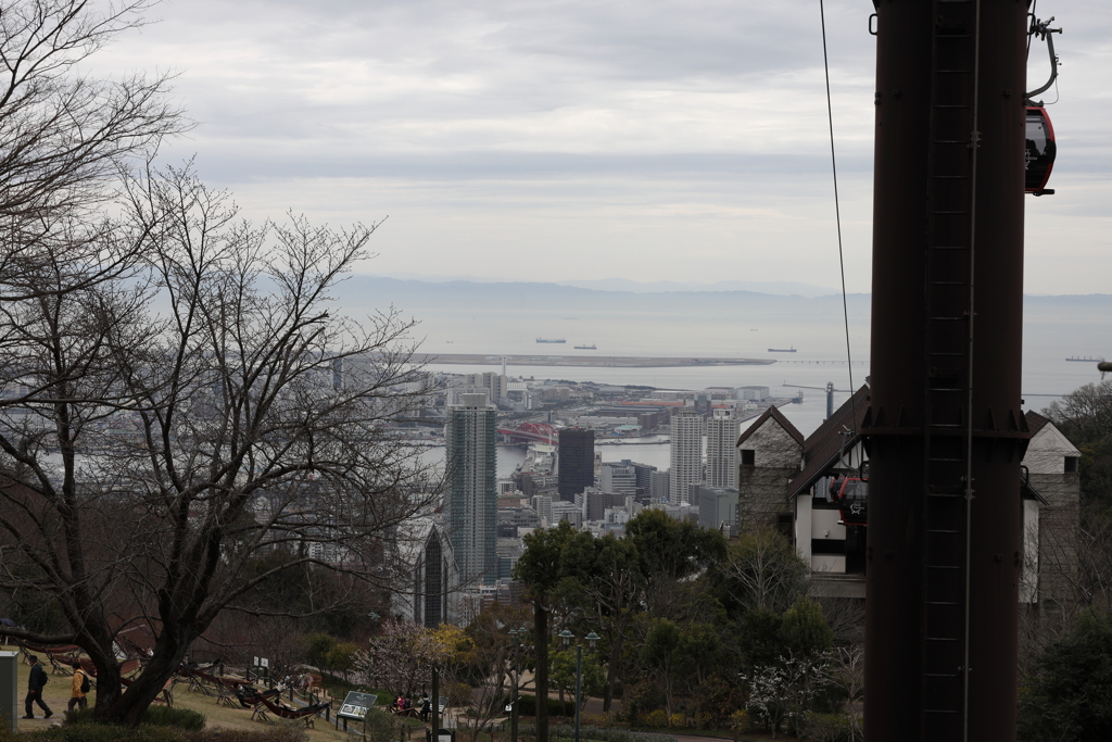 3月20日 布引ハーブ園 68