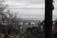 3月20日 布引ハーブ園 68