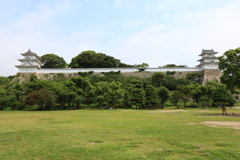 6月19日 明石公園 ４
