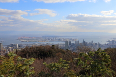 12月15日 布引ハーブ園 15