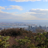 12月15日 布引ハーブ園 15