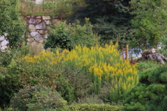 10月17日 明石公園 １