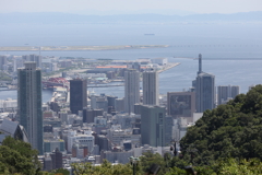 7月22日 布引ハーブ園 28