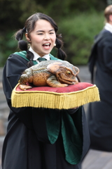 2月11日 USJ １