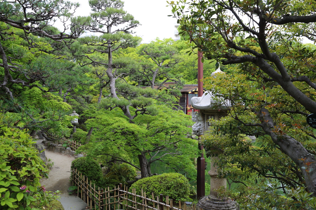 5月18日 相楽園 ９