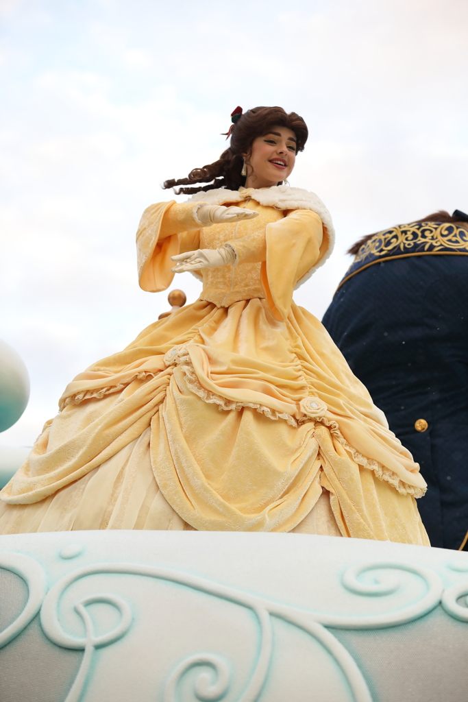 11月22日 東京ディズニーランド 41