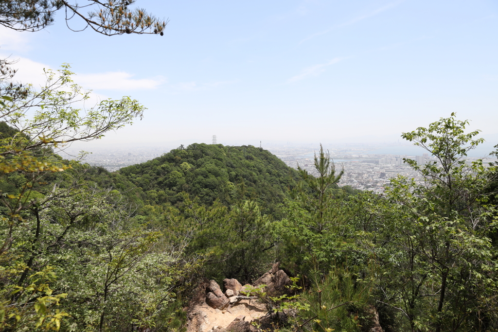 5月14日 長距離散歩 20