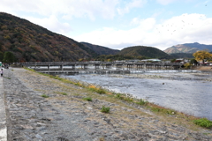11月23日 京都 26