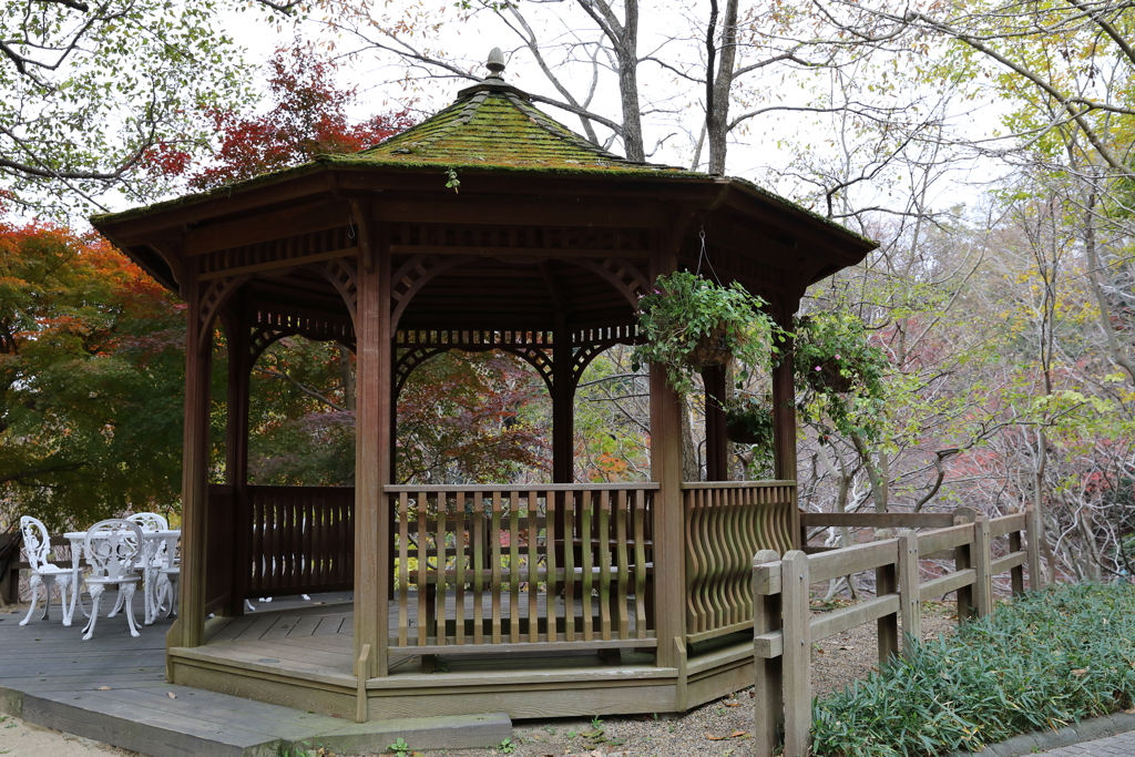 12月7日 布引ハーブ園 15