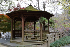 12月7日 布引ハーブ園 15