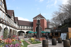 3月20日 布引ハーブ園 16