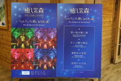 8月12日 布引ハーブ園 ５