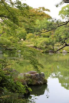 2017年6月17日 相楽園 2017年6月17日 相楽園