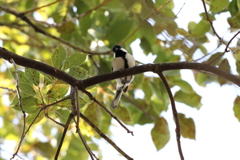 3月5日 岡本公園 35