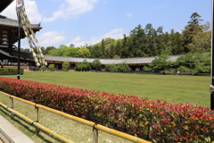5月2日 奈良 42