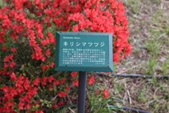 4月18日 長岡天神 ３