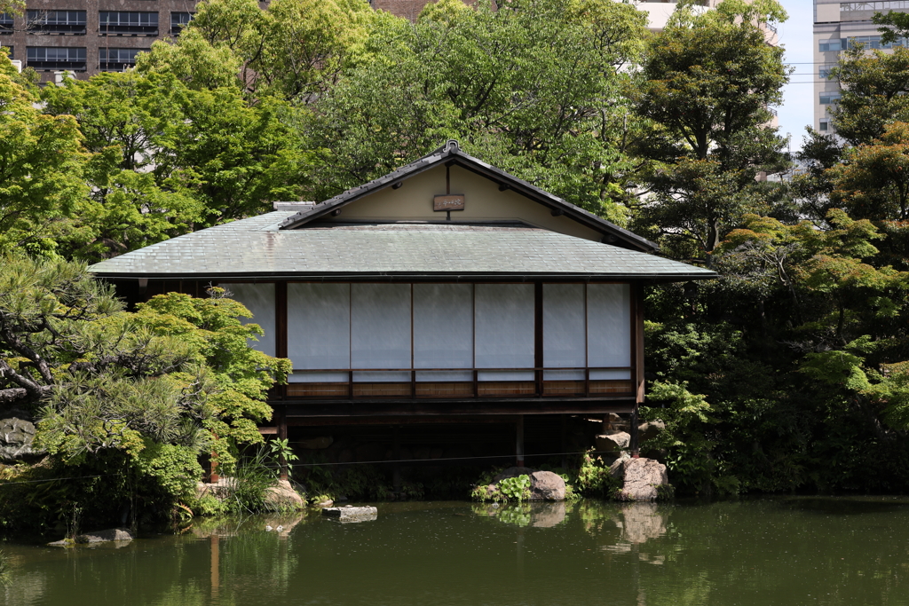 5月23日 相楽園 27