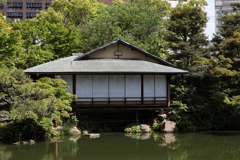 5月23日 相楽園 27