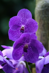 9月21日 布引ハーブ園 20