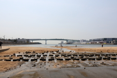 4月16日 散歩 13