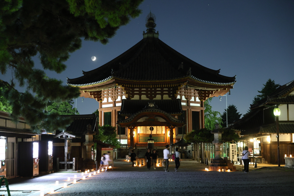 8月8日 なら燈花会 18