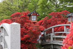 4月18日 長岡天神 ５