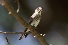 9月25日 明石公園 ５