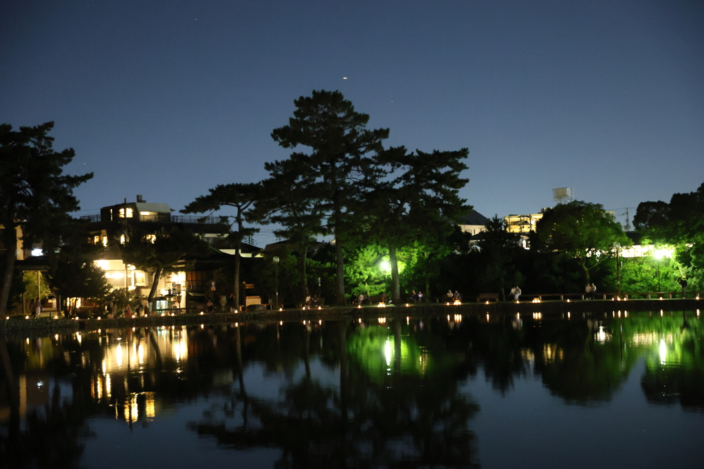 8月8日 なら燈花会 21
