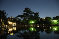 8月8日 なら燈花会 21