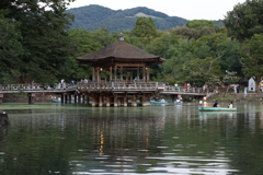 8月8日 なら燈花会 ４