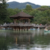 8月8日 なら燈花会 ４