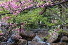 4月3日 岡本南公園 ８