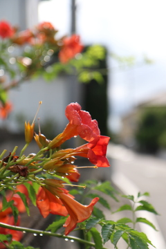 8月11日 
