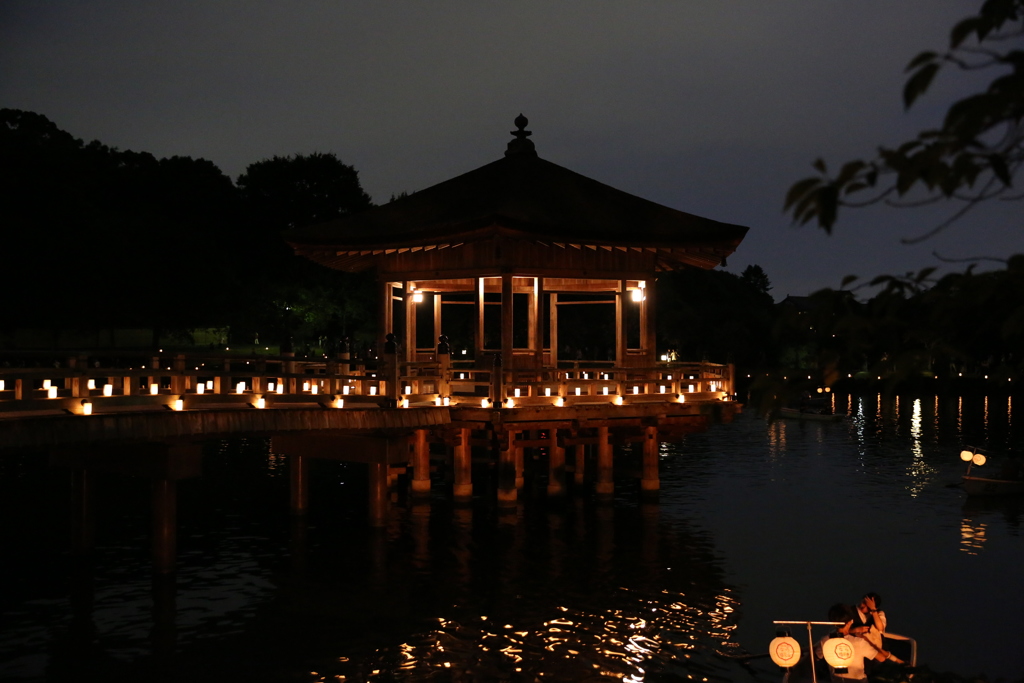 8月5日 なら燈花会 ５
