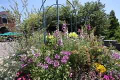 5月28日 布引ハーブ園 23